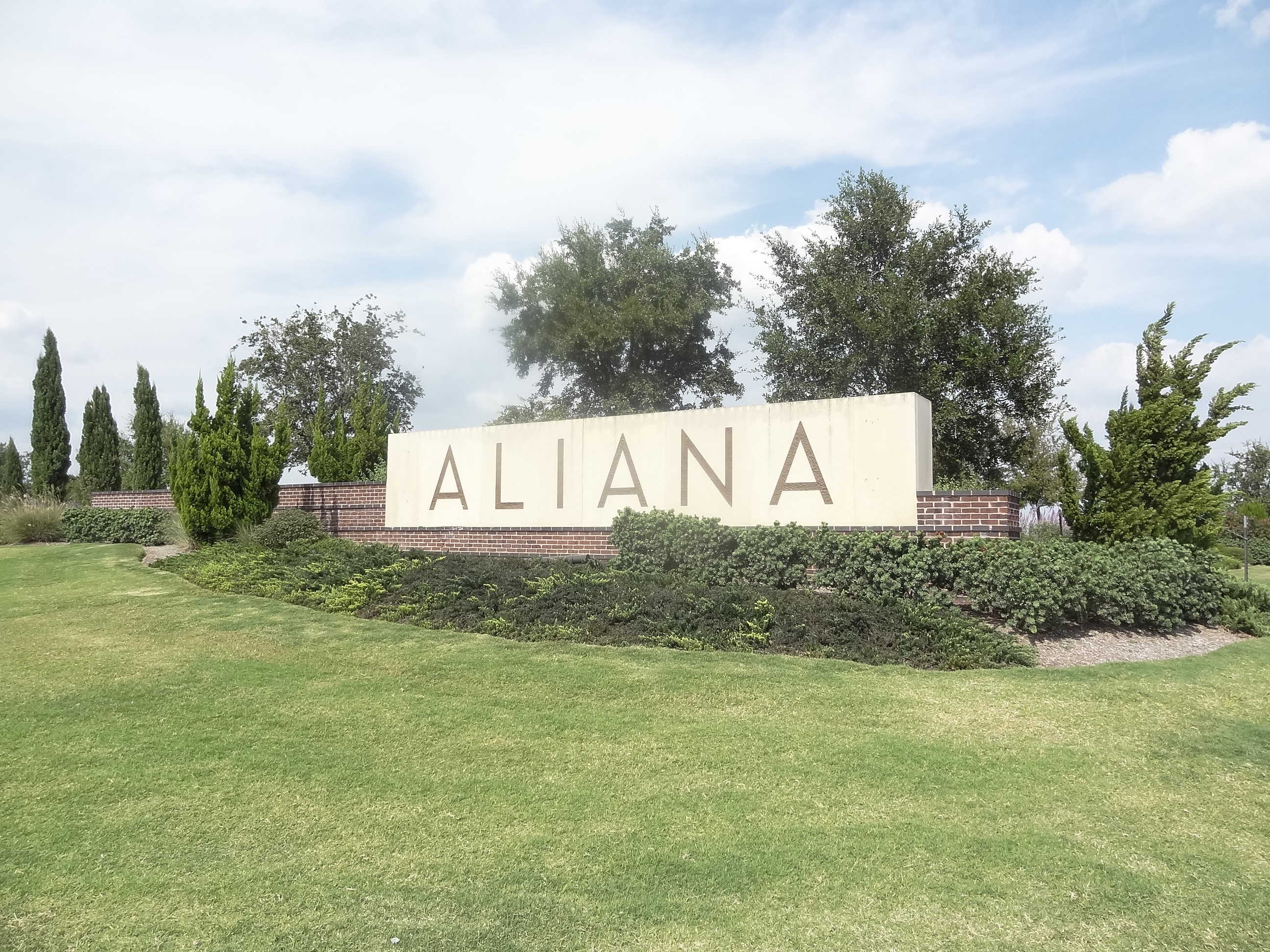 Turf services in Aliana, TX